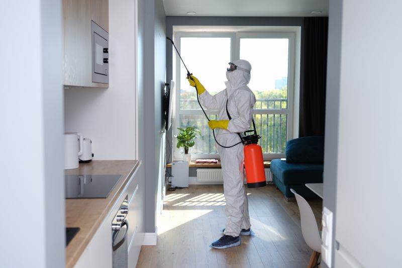 Mold Disinfection Service