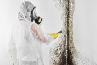 Basement Mold Removal in Jupiter, FL