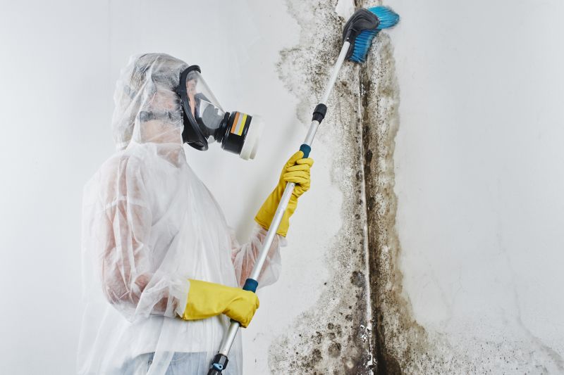Mold Disinfection Service