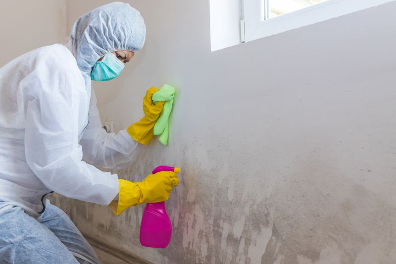Crawlspace Mold Remediation in Broward County, FL