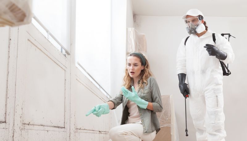 Mold Abatement Service in Broward County, FL