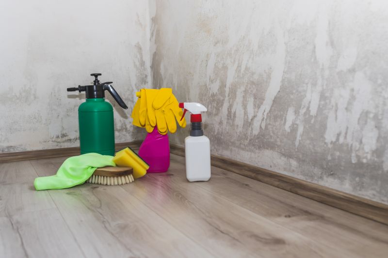 Mold Disinfection