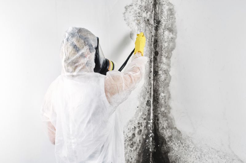 Attic Mold Remediation in West Palm Beach, FL