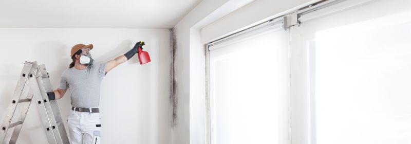 Attic Mold Removal in Essex County, NJ