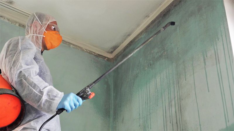 Common Causes Of Mold Growth In Homes