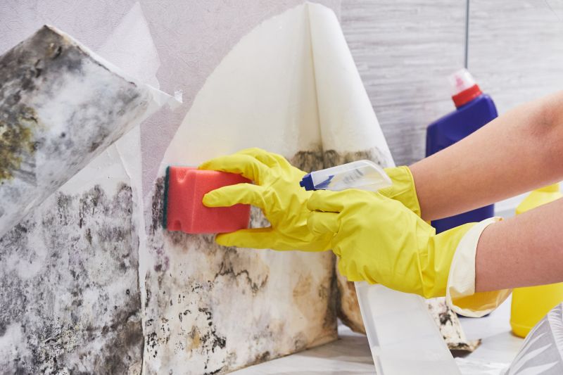 Mold Disinfection