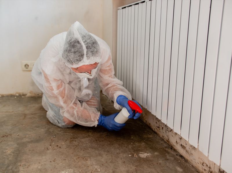 Mold Disinfection