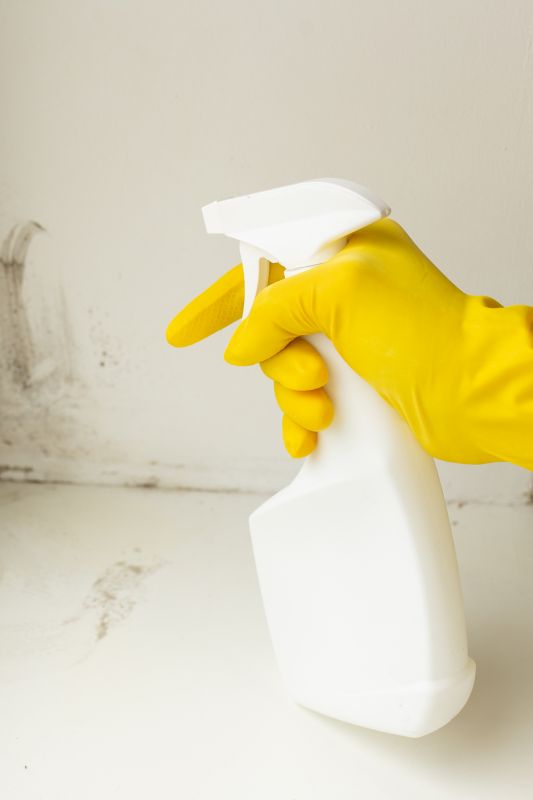 Mold Disinfection