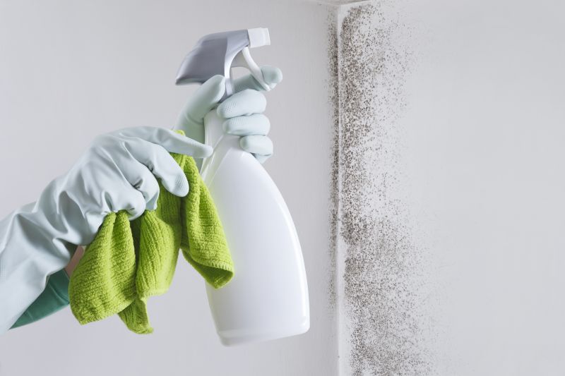 Mold Disinfection