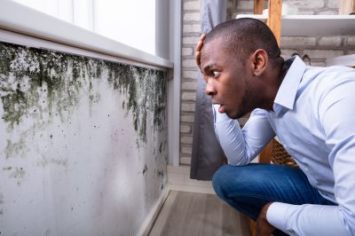 Mold Growth on Surfaces