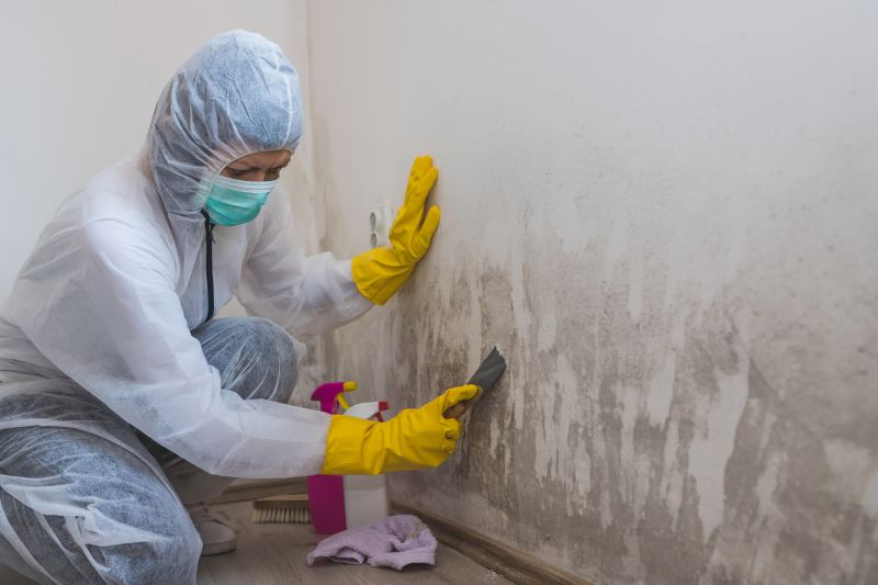Mold Remediation Equipment
