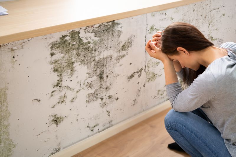Mold Removal in Fort Worth, TX
