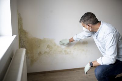 Certified Mold Remediation Experts